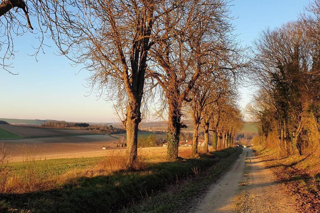 Вилла Le Bellevue A 1 H 30 De Paris Et 20 Km De Troyes Estissac Экстерьер фото